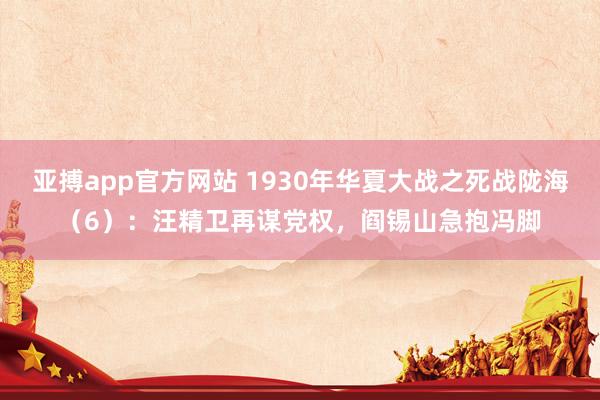 亚搏app官方网站 1930年华夏大战之死战陇海（6）：汪精卫再谋党权，阎锡山急抱冯脚