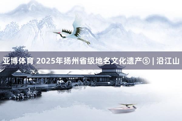 亚博体育 2025年扬州省级地名文化遗产⑤ | 沿江山
