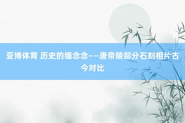 亚博体育 历史的缅念念——唐帝陵部分石刻相片古今对比