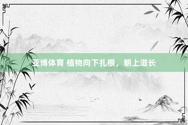 亚博体育 植物向下扎根，朝上滋长