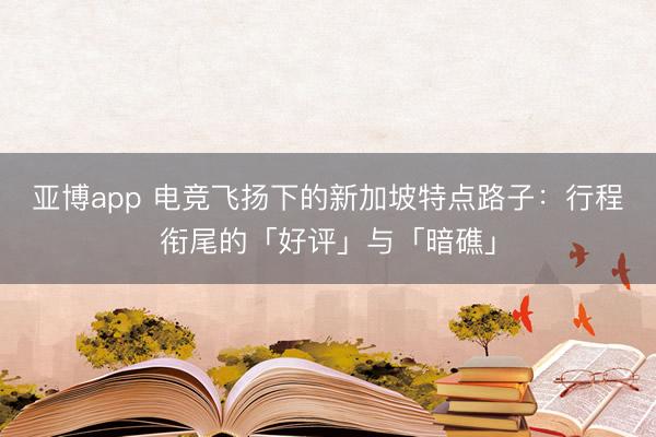亚博app 电竞飞扬下的新加坡特点路子：行程衔尾的「好评」与「暗礁」