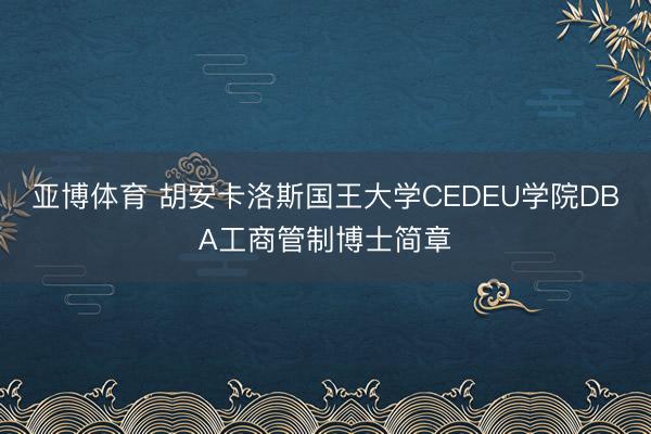 亚博体育 胡安卡洛斯国王大学CEDEU学院DBA工商管制博士简章